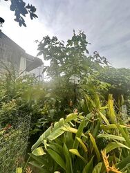 Changi Road (D14), Semi-Detached #465361691